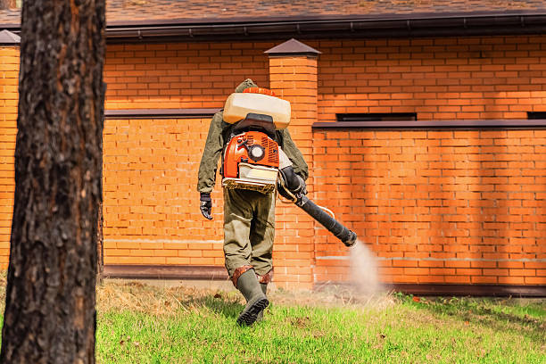 Trusted Emergency Pest Control service in Hawley, PA - Nex Pest Control